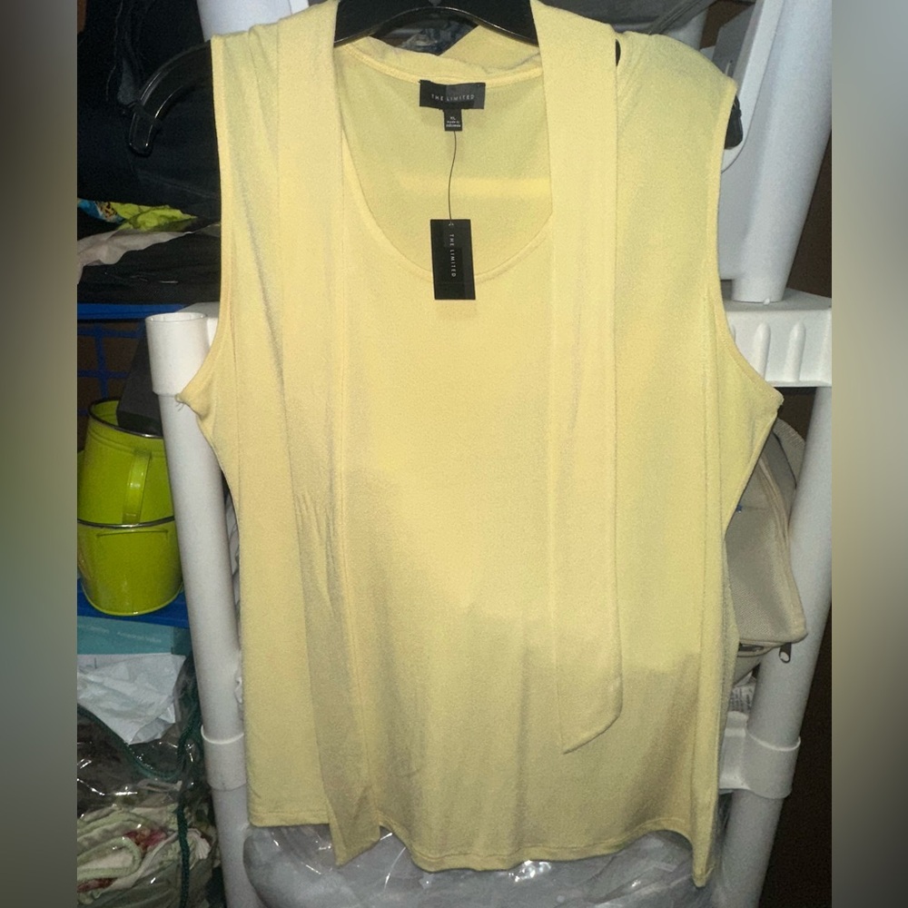 NWT The Limited top
